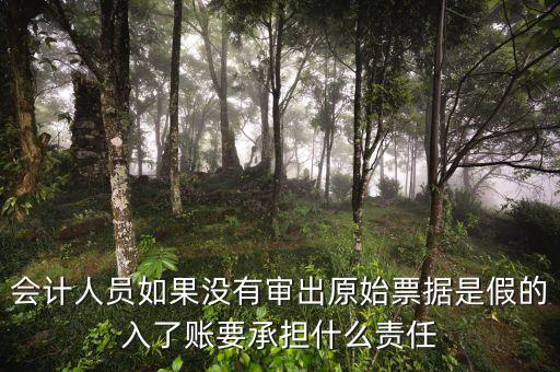 會計人員如果沒有審出原始票據(jù)是假的入了賬要承擔什么責任