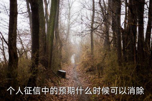 中國正信什么時候分紅，個人征信中的預(yù)期什么時候可以消除