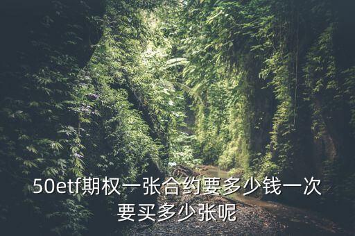 50etf期權(quán)一張合約要多少錢一次要買多少張呢