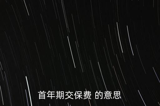 首年期交保費 的意思