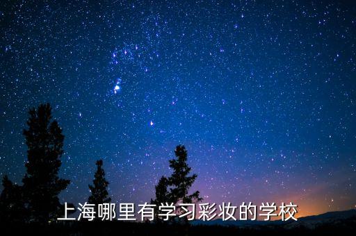 上海哪里有學習彩妝的學校