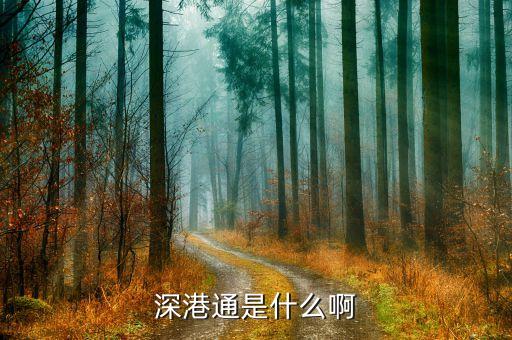深港通試點(diǎn)是什么，深港通是什么啊
