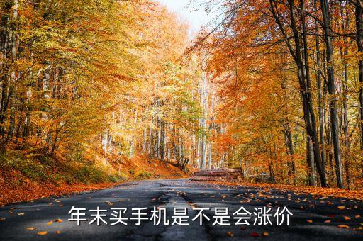 年末6s為什么會漲價，怎么年底了手機都漲價了