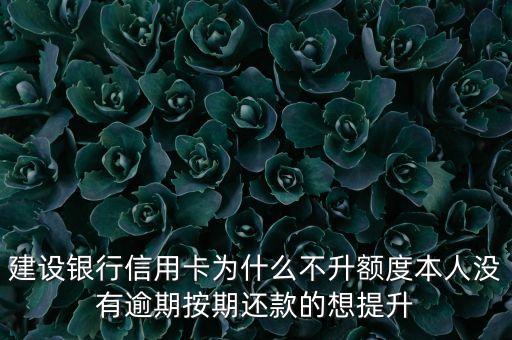 建設(shè)銀行信用卡為什么不升額度本人沒有逾期按期還款的想提升