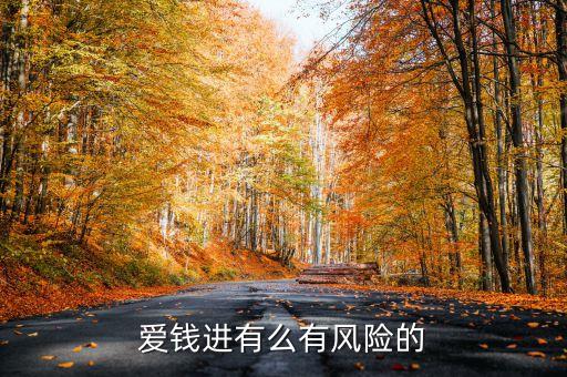 愛錢進有什么風險，愛錢進有風險么