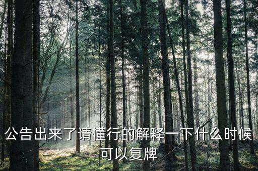 公告出來了請懂行的解釋一下什么時候可以復牌
