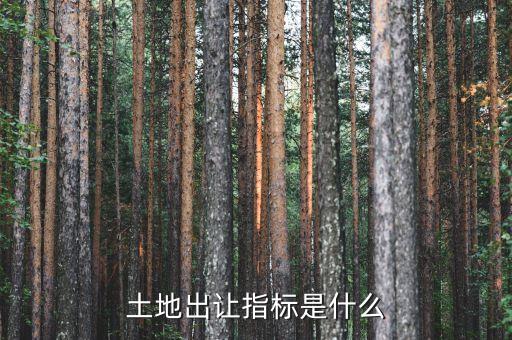 土地出讓指標(biāo)是什么