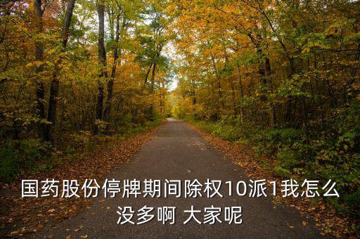 國(guó)藥股份停牌期間除權(quán)10派1我怎么沒(méi)多啊 大家呢