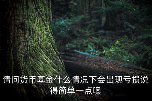 請(qǐng)問貨幣基金什么情況下會(huì)出現(xiàn)虧損說得簡(jiǎn)單一點(diǎn)噢