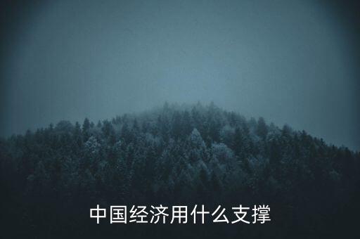 中國(guó)經(jīng)濟(jì)靠什么支撐，中國(guó)經(jīng)濟(jì)現(xiàn)在到底靠什么來支撐呢