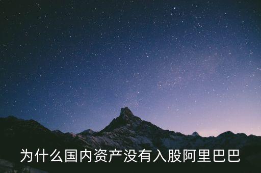 什么國家沒有阿里，為什么國內(nèi)資產(chǎn)沒有入股阿里巴巴