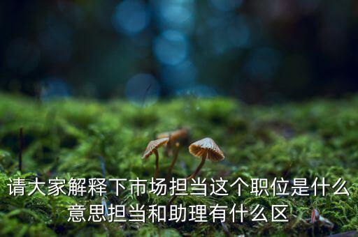賣(mài)場(chǎng)擔(dān)當(dāng)是什么，什么是門(mén)面擔(dān)當(dāng)