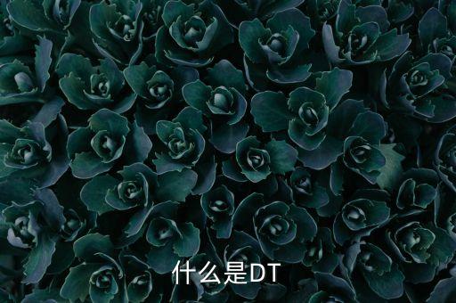 什么是dt時(shí)代，什么是dt時(shí)代