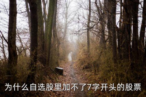 為什么自選股里加不了7字開(kāi)頭的股票