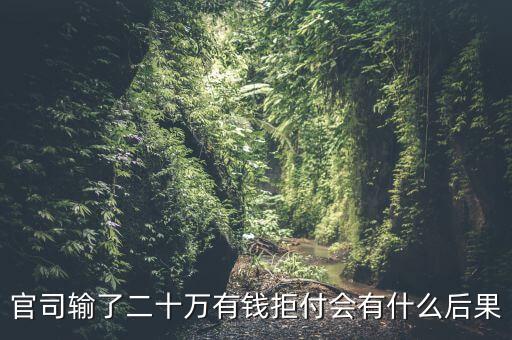 送審計(jì)二十萬(wàn)元會(huì)有什么結(jié)果，官司輸了二十萬(wàn)有錢(qián)拒付會(huì)有什么后果