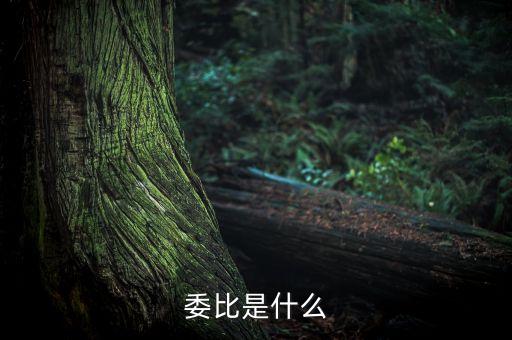 什么是委比指標(biāo)，股票里面的委比是什么意思