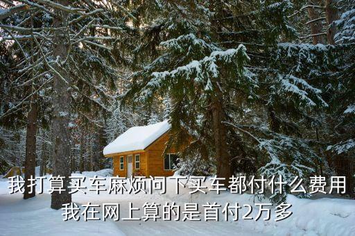 我打算買車麻煩問下買車都付什么費(fèi)用我在網(wǎng)上算的是首付2萬多