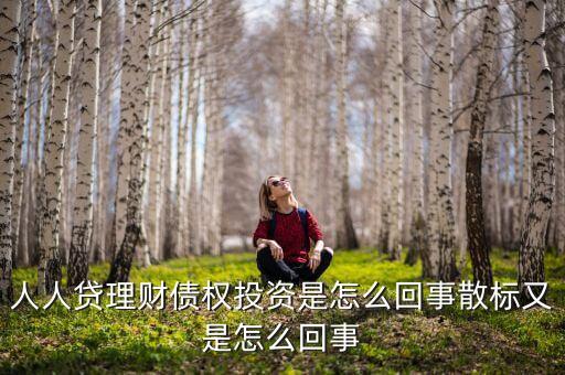 人人貸里投資散標是什么意思，人人貸中散標想放貸款怎能看他們的信譽有的是a有的是e有的是