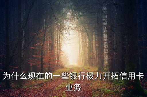 為什么現在的一些銀行極力開拓信用卡業(yè)務