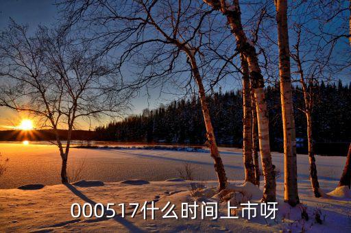 000517什么時(shí)間上市呀