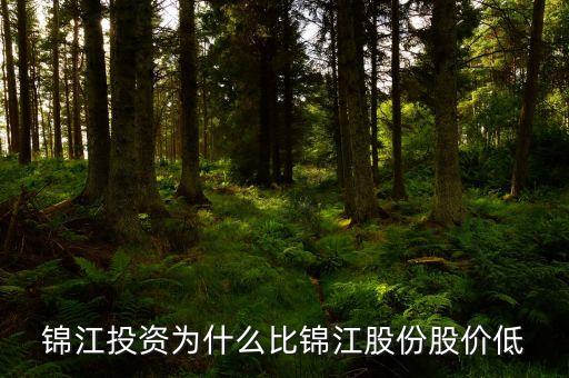 錦江投資和錦江股份什么關(guān)系，錦江投資為什么比錦江股份股價(jià)低