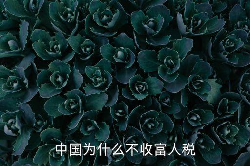 中國為什么不收富人稅