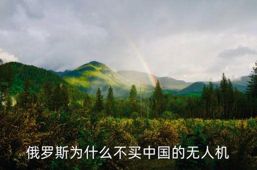 中國為什么不買俄羅斯客機，中國為什么不買俄羅斯民航客機而買美國客機
