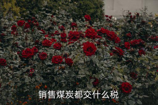 木炭進(jìn)項票是什么，增值稅進(jìn)項名稱煤炭乙精可因開煤炭煙煤嗎