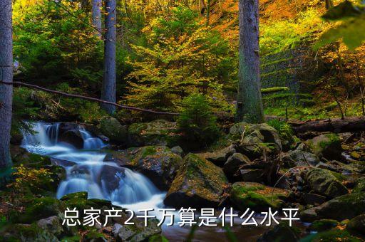 2006年的兩千萬什么概念，總家產(chǎn)2千萬算是什么水平