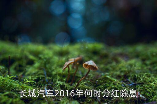 長(zhǎng)安汽車什么時(shí)候分紅，長(zhǎng)城汽車2016年何時(shí)分紅除息
