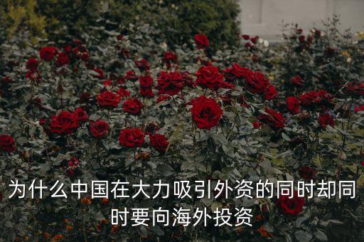 中國(guó)為什么在外投資，為什么中國(guó)在大力吸引外資的同時(shí)卻同時(shí)要向海外投資
