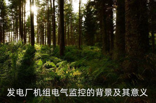 浙能電廠運(yùn)行監(jiān)控是什么，電氣運(yùn)行監(jiān)控字什么意思