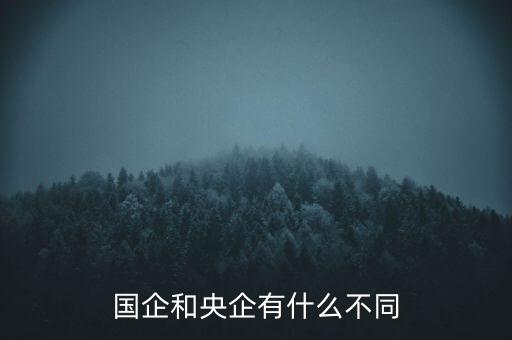 央企屬于什么企業(yè)，國企和央企有什么不同