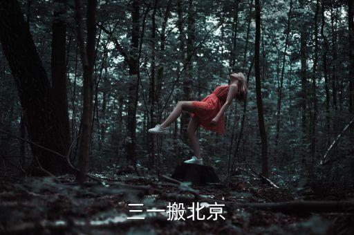三一為什么搬家，三一搬北京