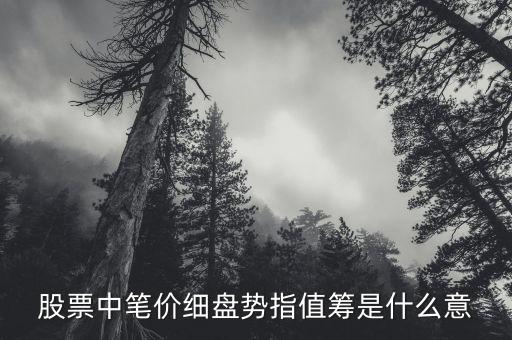 股票中筆價(jià)細(xì)盤勢(shì)指值籌是什么意
