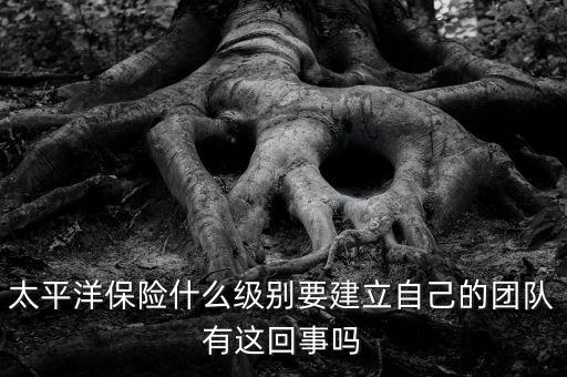 太平洋保險組建團隊是什么意思，太平洋保險什么級別要建立自己的團隊有這回事嗎