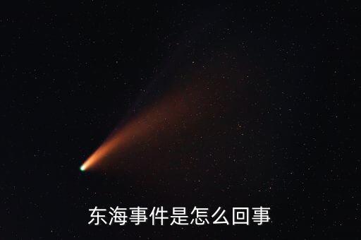 東海問(wèn)題是什么，東海事件是怎么回事