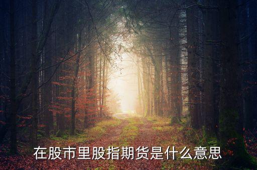 什么股指期貨，股指期貨是什么意思