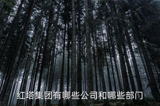 美登印務(wù)和紅塔集團有什么關(guān)系，紅塔集團有哪些公司和哪些部門