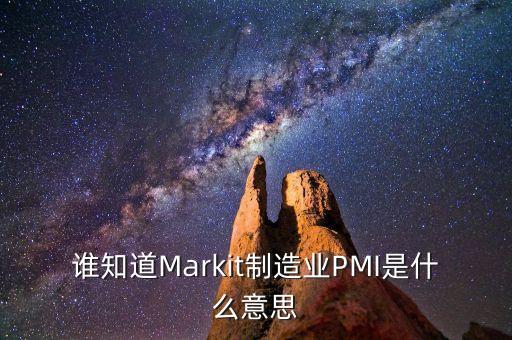 制造業(yè)pmi值是什么，誰知道Markit制造業(yè)PMI是什么意思