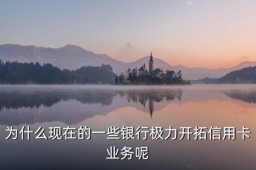 為什么極力發(fā)展信用卡業(yè)務(wù)，為什么現(xiàn)在的一些銀行極力開拓信用卡業(yè)務(wù)