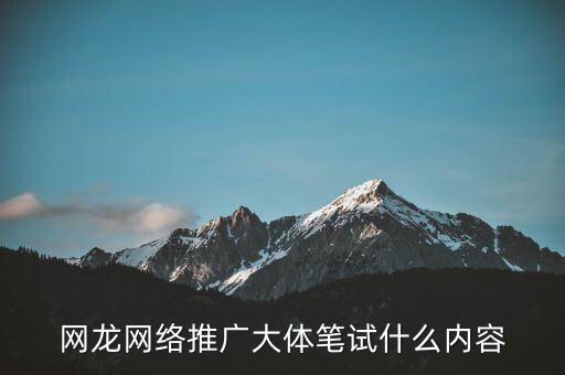 網(wǎng)龍?jiān)诰€教育做什么，網(wǎng)龍網(wǎng)絡(luò)推廣大體筆試什么內(nèi)容