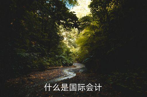 什么是國際會(huì)計(jì)