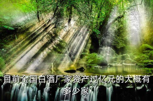目前全國(guó)白酒廠家資產(chǎn)過(guò)億元的大概有多少家