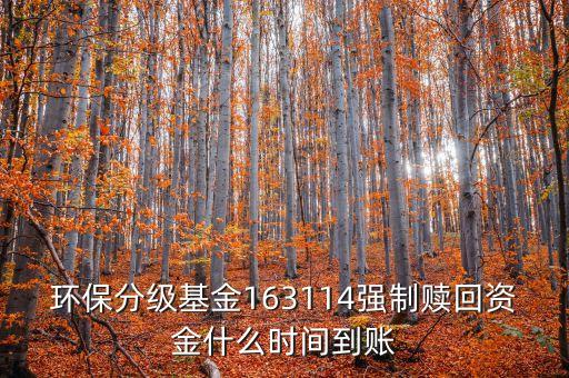 163114什么時(shí)候開(kāi)盤(pán)，163114是個(gè)什么玩意啊賣(mài)也賣(mài)不出