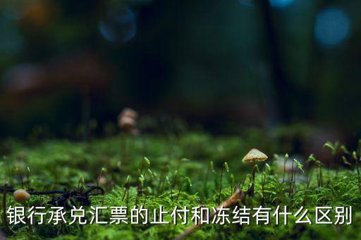 凍結(jié)止付什么意思，銀行承兌匯票的止付和凍結(jié)有什么區(qū)別