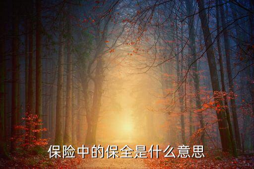 中國(guó)數(shù)據(jù)保全的意義是什么，保險(xiǎn)中的保全是什么意思