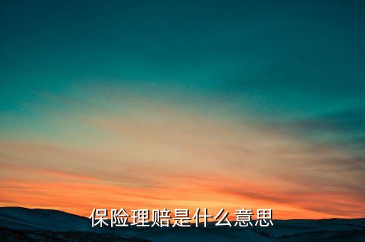 保證金保險(xiǎn)理賠什么意思，保險(xiǎn)理賠是什么意思