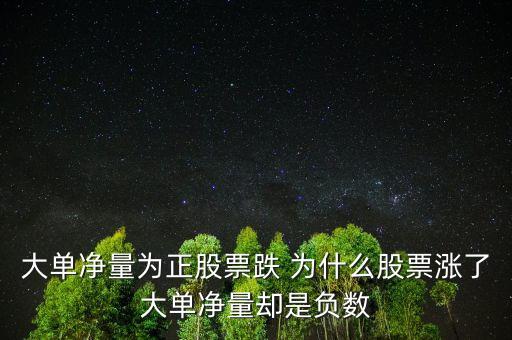大單凈量為什么會大于1，為什么凈流入大筆資金大單凈量卻負很多