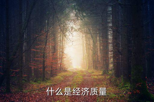 什么是經(jīng)濟(jì)質(zhì)量，什么是經(jīng)濟(jì)質(zhì)量